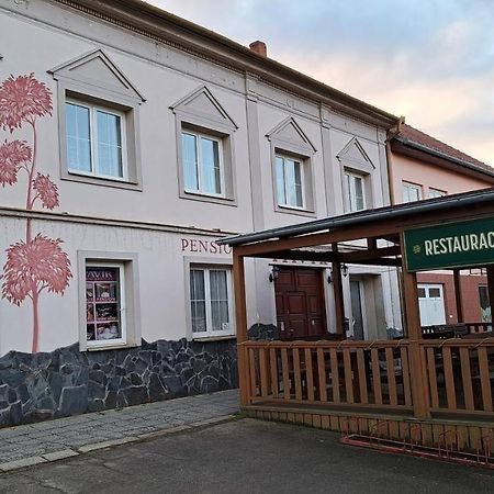 Pension Pavir Zidlochovice Екстер'єр фото